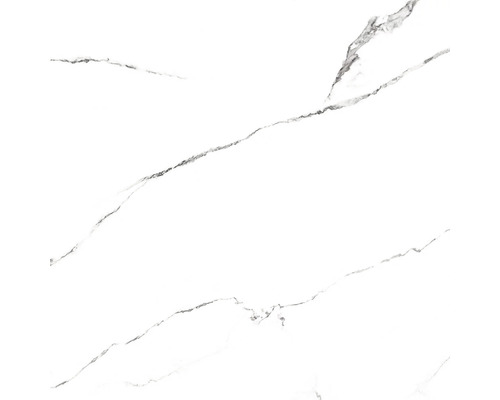 Wand- en Vloertegel Taura wit gepolijst 60x60 cm gerectificeerd