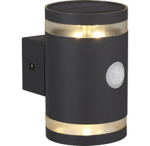 Solar wandlamp met bewegingsmelder