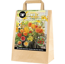 Bloembollen voor een bloementuin van één vierkante meter in een papieren draagtas