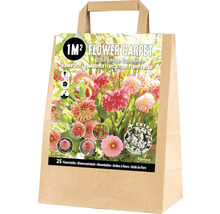 Bloembollen in papieren zak voor een vierkante meter bloembed