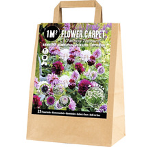 Bloembollenmix voor 1 m² bloembed in papieren zak