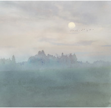 Landschap met veld, bomen, mist, maan en zwerm vogels