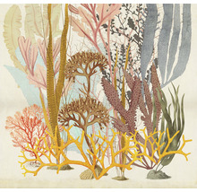 Illustratie van diverse soorten zeealgen.