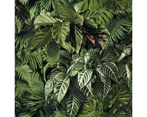 GRANDECO Vliesbehang MN3108 bladeren groen Dicht tropisch plantenbehang met varens en grote bladeren.