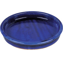 Blauwe keramische schotel