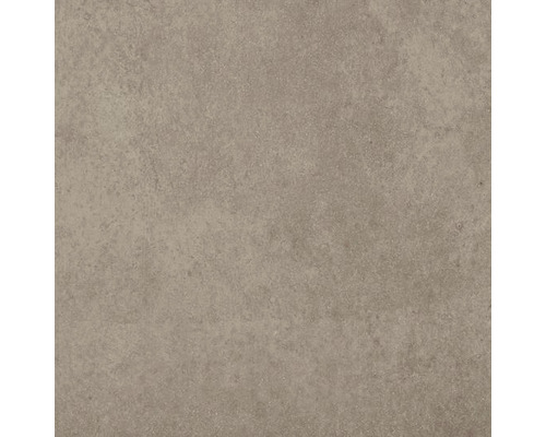 Wand- en vloertegel Bellens taupe 45x45 cm