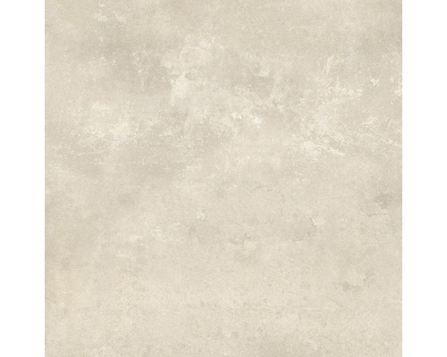 Wand- en vloertegel Punk taupe 60x60 cm gerectificeerd Vloertegel met steenlook