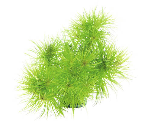 Kunstmatige waterplant voor aquariums