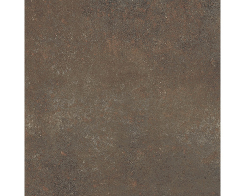 Wand- en vloertegel Maastricht bronzo 60 x 60 cm gerectificeerd