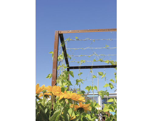 Metalen klimhulp met gele bloemen en planten