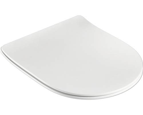 Toiletdeksel van kunststof