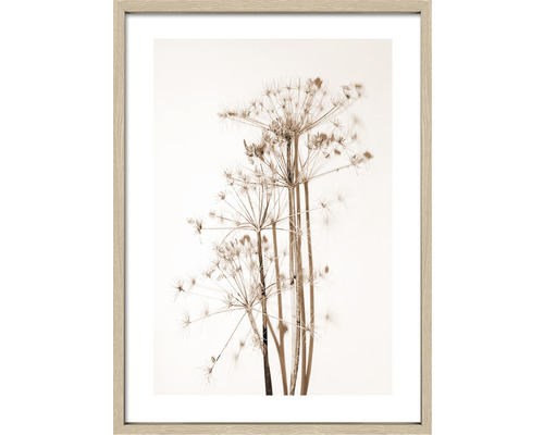 Ingelijste afbeelding met plantenmotief voor wanddecoratie