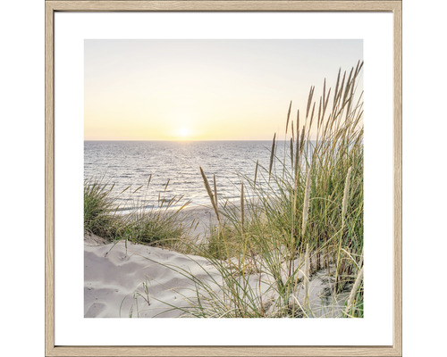 Ingelijste afbeelding van een duinlandschap met uitzicht op zee bij zonsondergang