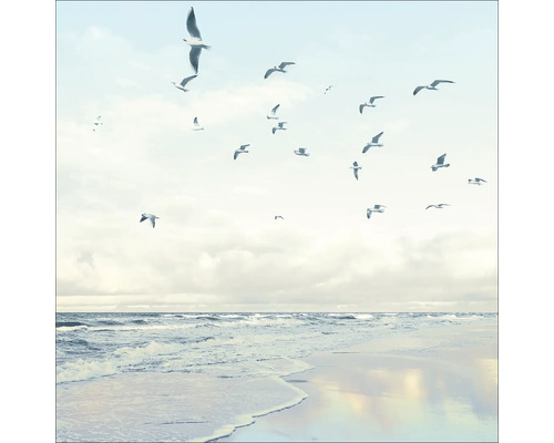 Decoratieve wandafbeelding met strand, zee en meeuwen