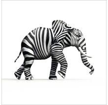 Illustratie van een olifant met een zebramotief