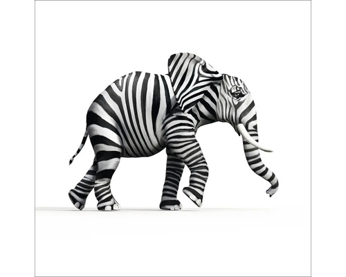 Illustratie van een olifant met een zebramotief