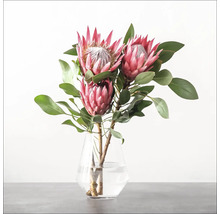 Drie proteabloemen in een glazen vaas