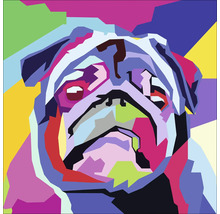 Illustratie van een kleurrijk bulldog hoofd