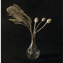 Decoratief arrangement van planten in een glazen vaas