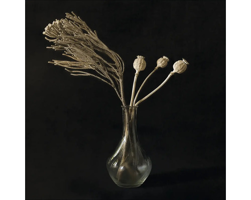 Decoratief arrangement van planten in een glazen vaas