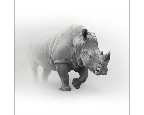 Illustratie van een neushoorn