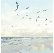 Strand met vliegende meeuwen