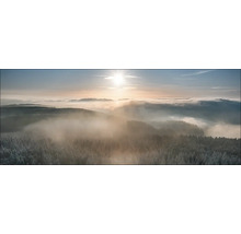 Landschap met bos onder nevel en zon