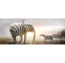 Illustratie van een olifant met een zebrapatroon en een vogel op zijn rug, met een zebra op de achtergrond