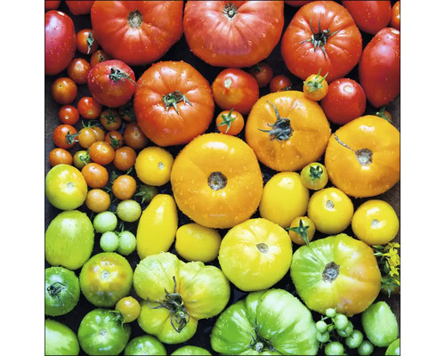 Verschillende rijpe en onrijpe tomaten