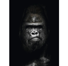 Close-up van een gorilla op een donkere achtergrond