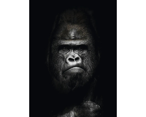 Close-up van een gorilla op een donkere achtergrond