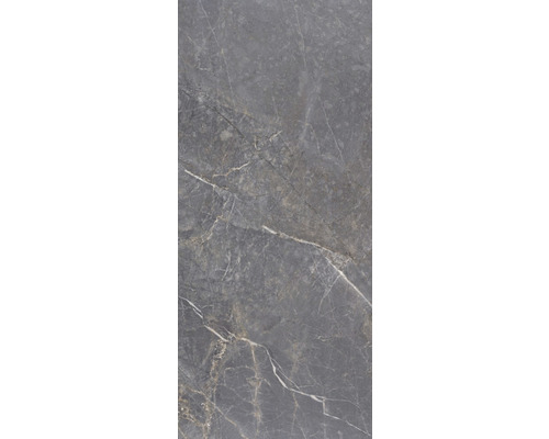 Wand- en vloertegel Syr natural gepolijst 60x120 cm gerectificeerd Grijze vloertegel met marmerlook