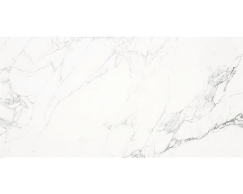 Wand- en vloertegel Sab white gepolijst 60x120 cm gerectificeerd