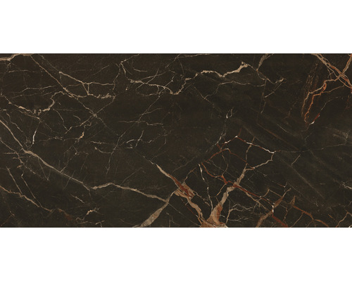 Wand- en vloertegel Exe brown gepolijst 60x120 cm gerectificeerd
