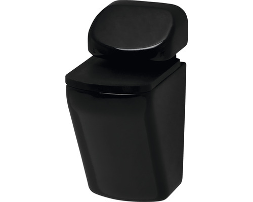 Wandcloset met diepspoeling van keramiek