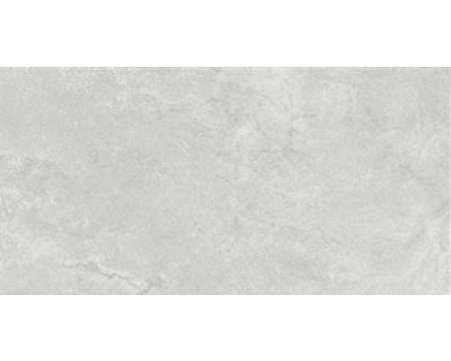 Wand- en Vloertegel Kadacia zilver gepolijst 60x120 cm gerectificeerd