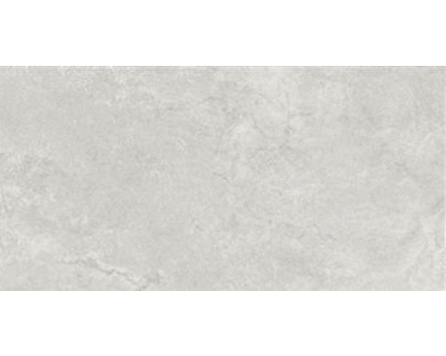 Wand- en Vloertegel Kadacia zilver gepolijst 60x120 cm gerectificeerd Rechthoekige, lichte vloertegel met matte afwerking