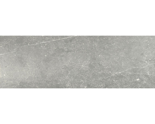 Wand- en vloertegel Nilson chrome 60x120 cm gerectificeerd