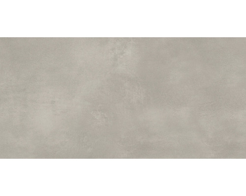 Wand- en vloertegel Abstrakto greige 60x120 cm gerectificeerd Vloertegel met mat oppervlak