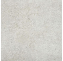 Wand- en vloertegel Astana grey 60x60 cm gerectificeerd