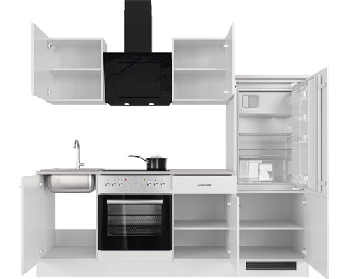 Volledige keuken met spoelbak, kookplaat, oven, afzuigkap, koelkast en kasten