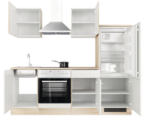 Complete kitchenette met spoelbak, kookplaat, oven, koelkast en afzuigkap
