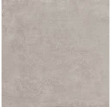 Wand- en vloertegel Enedita gris 60x60 cm gerectificeerd