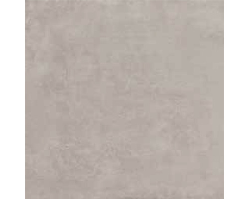 Wand- en vloertegel Enedita gris 60x60 cm gerectificeerd