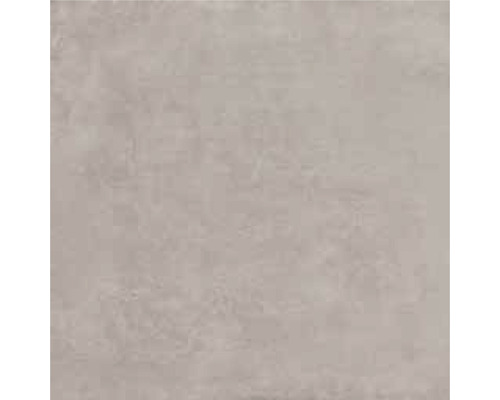 Wand- en vloertegel Enedita gris 60x60 cm gerectificeerd Tegelvoorbeeld met mat oppervlak