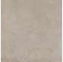 Wand- en vloertegel Enedita vision 60x60 cm gerectificeerd