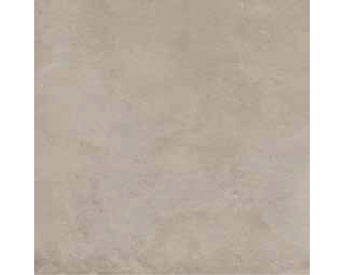Wand- en vloertegel Enedita vision 60x60 cm gerectificeerd Tegelpatroon met steeneffect