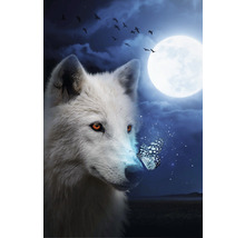 REINDERS Maxiposter Wolf Moon 61x91,5 cm