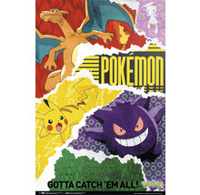 REINDERS Maxiposter Pokémon 61x91,5 cm