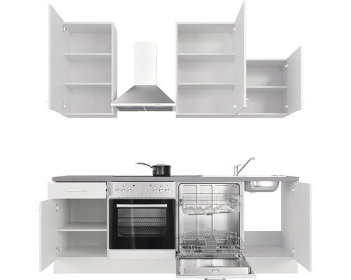 Keukenblok met spoelbak, fornuis, oven, afzuigkap, vaatwasser en open kasten